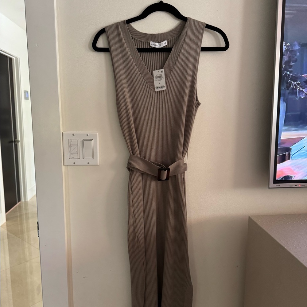 NWT Size L Stone Dress